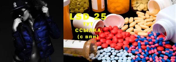крисы Магас