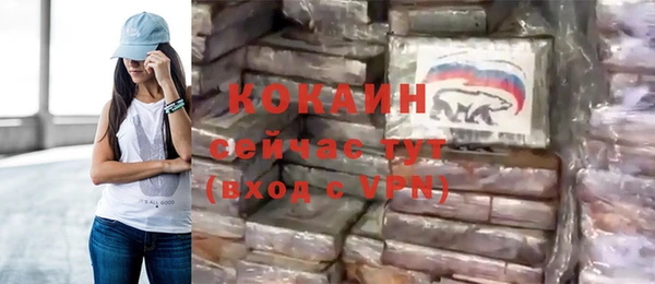крисы Магас