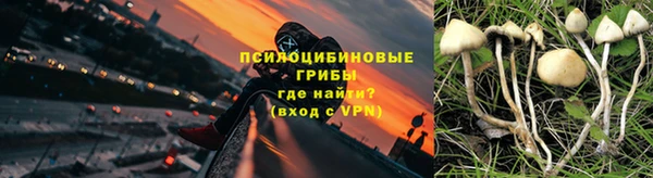 твердый Магадан