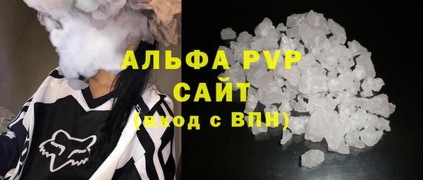 крисы Магас