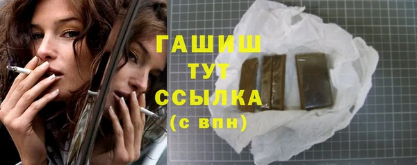 крисы Магас