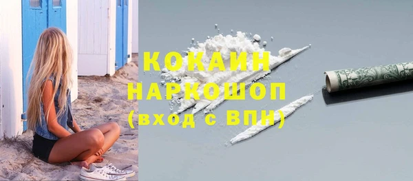 крисы Магас