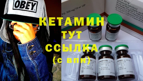 крисы Магас