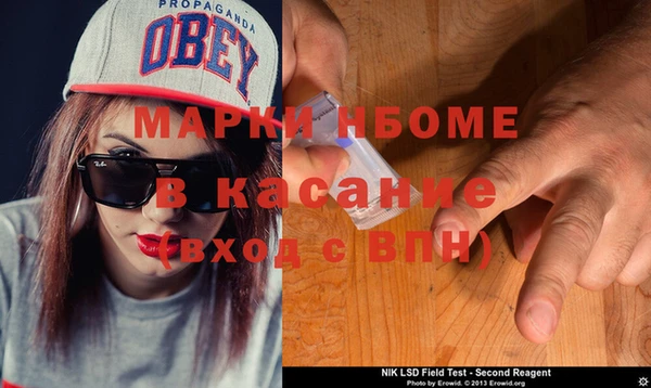 крисы Магас