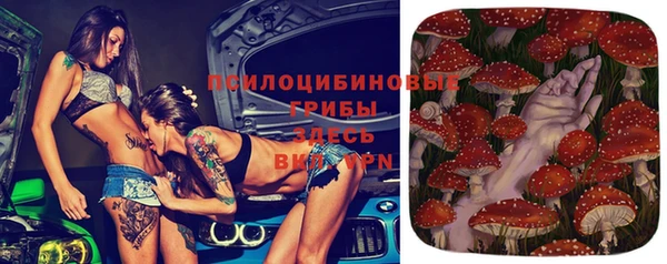 твердый Магадан