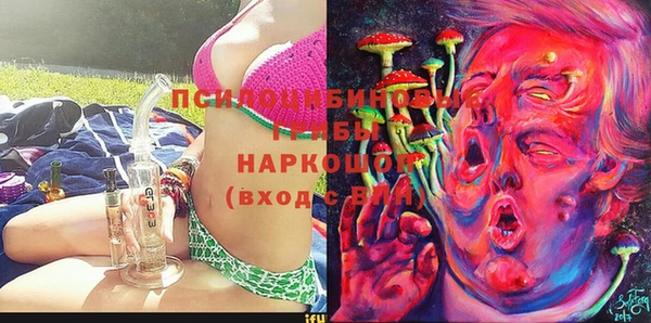 крисы Магас