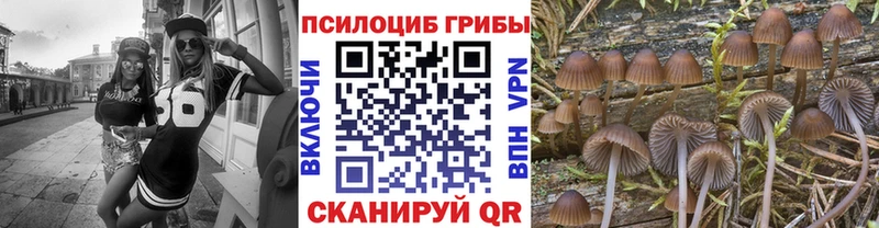 Галлюциногенные грибы ЛСД Монино
